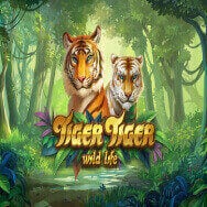 Tiger Tiger